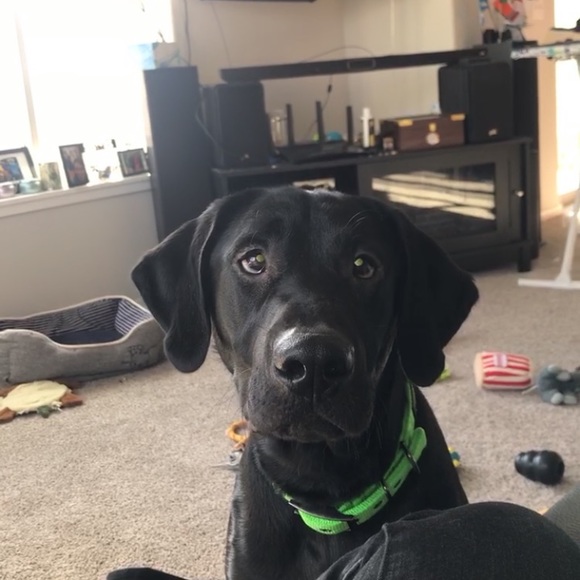 Meet your Posher, Brenna - Picture 9 of 12